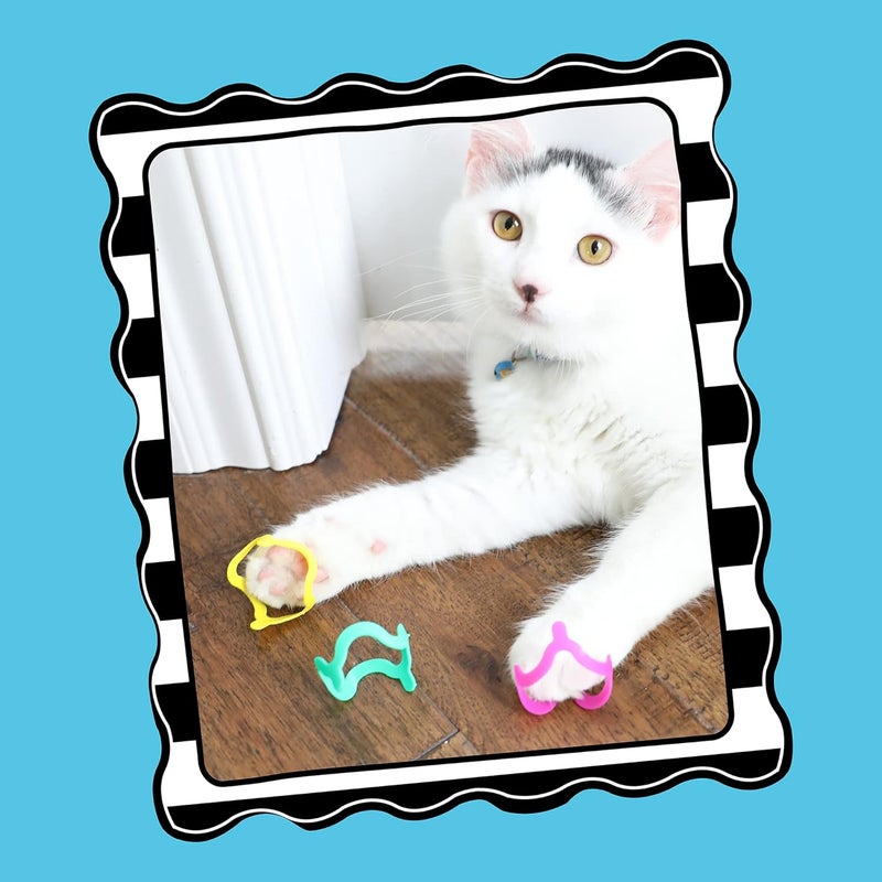 Petmate Doskocil Cat Crazies Toy Set - Multi-Color Pack of 4 for Cats - Image 3